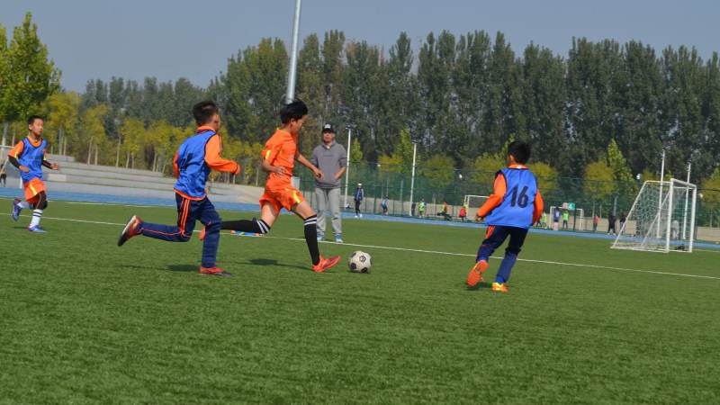 bsports必一运动(中国区)官方网站 波斯波利斯